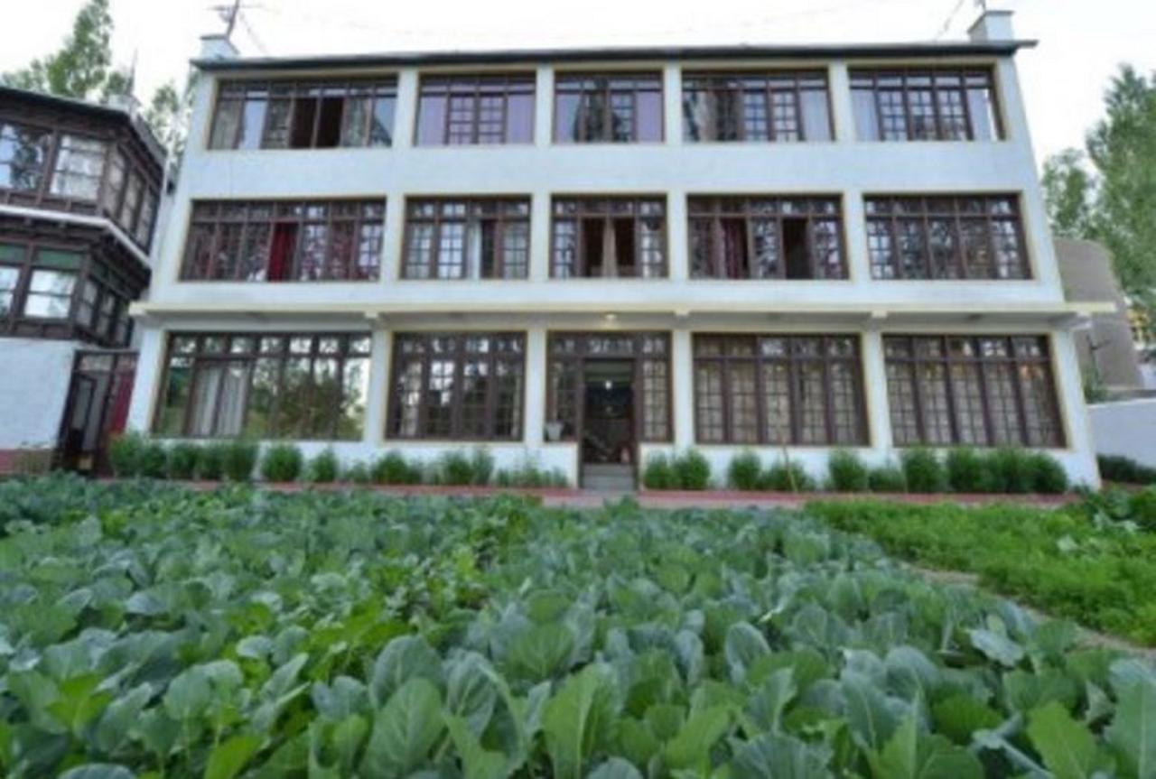 Hotel Asia Leh Buitenkant foto